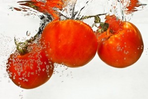 Studio shot of tomatoes falling into water