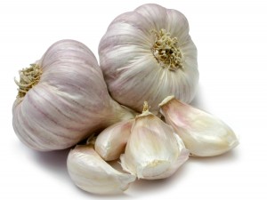 GARLIC