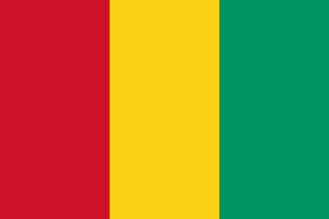 Guinea-Flag