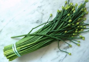 chinese-chive-content-flower