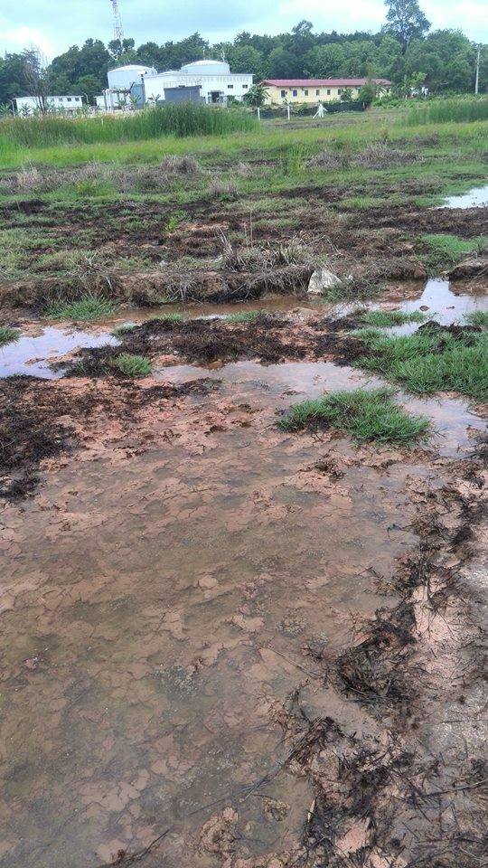 ເຈົ້າຂອງນາຮ້ອງຜ່ານສື່ ໂຮງງານເກືອປ່ອຍນ້ຳມີພິດລົງນາ