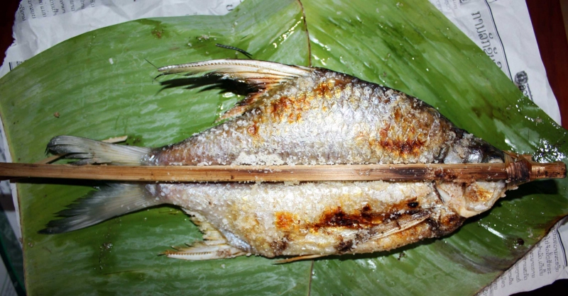 ກິນ​ປາ​ຊ່ວຍ​ປ້ອງ​ກັນ​ພະຍາດ​ຫົວ​ໃຈ