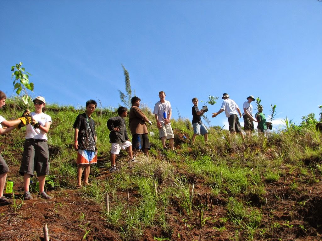 ກະຊວງ​ກະສິກຳ​ ແລະ ​ປ່າ​ໄມ້ ​ອອກ​ແຈ້ງ​ການ​​ ວັນ​ປູກ​ຕົ້ນ​ໄມ້​ແຫ່ງ​ຊາດ 1 ມິຖຸນາ2015