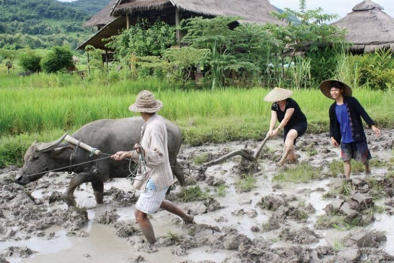 ລັດຖະບານອະນຸມັດງົບ 20 ຕື້ກີບຕ້ານໄພແລ້ງພ້ອມເປີດຂະບວນຜະລິດລະດູຝົນ15 ພຶດສະພານີ້