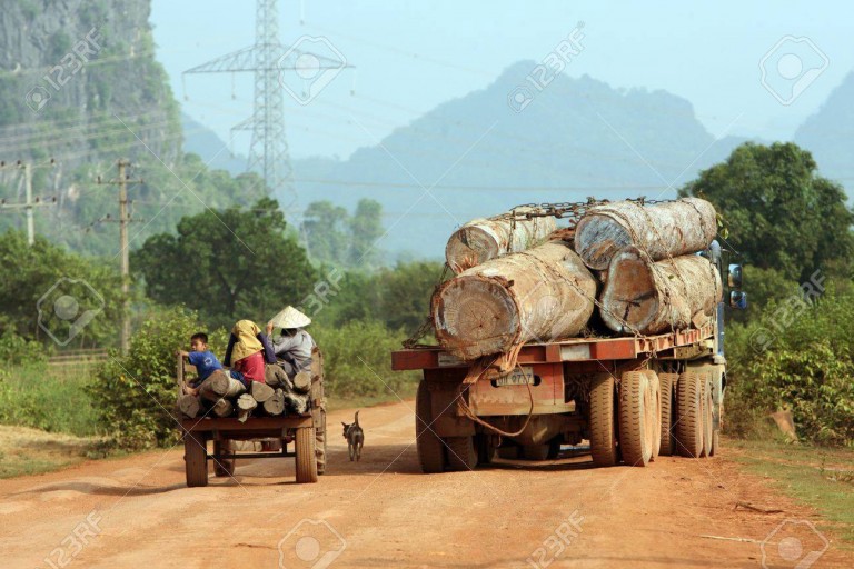 ອົງການກວດສອບເຜີຍ ຫລາຍ​ທ້ອງ​ຖິ່ນ​ຍັງ​ບໍ່​ເອົາ​ເງິນ​ຂາຍ​ໄມ້​ ມອບ​ເຂົ້າງົບປະມານ​ລັດ