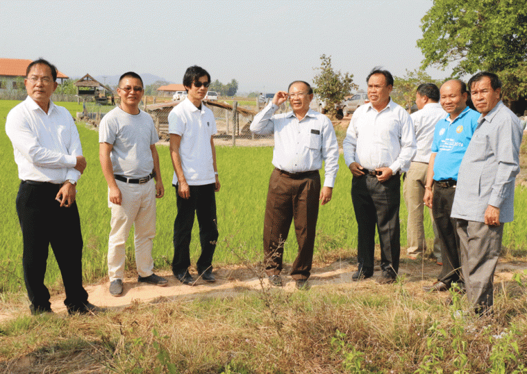 ທ່ານ ລຽນ ທີແກ້ວ ລົງຊຸກຍູ້ໂຄງການປູກຊາໝ້ຽງ ຢູ່ເມືອງໄຊຊະຖານ