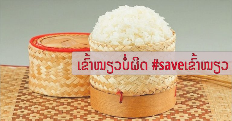 ແຮສແທັກ saveເຂົ້າໜຽວ ຂຶ້ນເທຣນທະວິດເຕີ້ ຫຼັງສາວໄທໂພສ “ຄົນກິນເຂົ້າໜຽວມີໂອກາດກໍ່ການຮ້າຍສູງ”