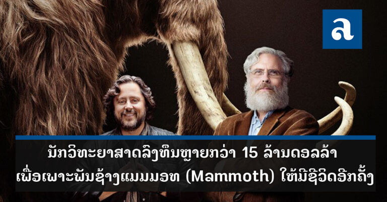 ນັກວິທະຍາສາດ ກຽມຄົ້ນຄວ້າເພາະພັນຊ້າງແມມມອທ (Mammoth) ຈາກ DNA ທີ່ມີຢູ່
