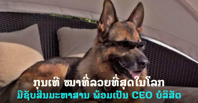 ລວຍທີ່ສຸດຂອງໂລກ ມີຊັບສິນຫຼາຍຮ້ອຍລ້ານຫຼຽນພ້ອມເປັນ CEO ບໍລິສັດ