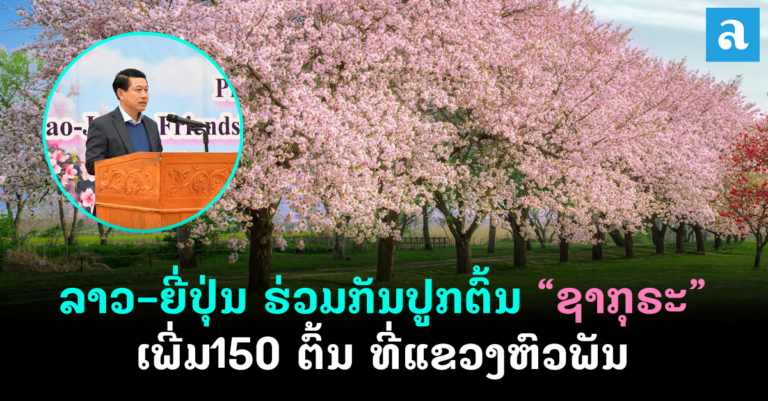 ພິທີປູກຕົ້ນຊາກຸຣະ ເພີ່ມຕື່ມ 150 ຕົ້ນ ທີ່ ເມືອງວຽງໄຊ, ແຂວງຫົວພັນ