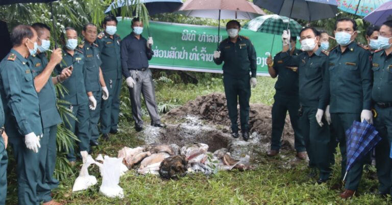 ທຳລາຍ ສິ້ນສ່ວນສັດປ່າຫວງຫ້າມ 107,5 ກິໂລ ທີ່ແຂວງບໍລິຄຳໄຊ